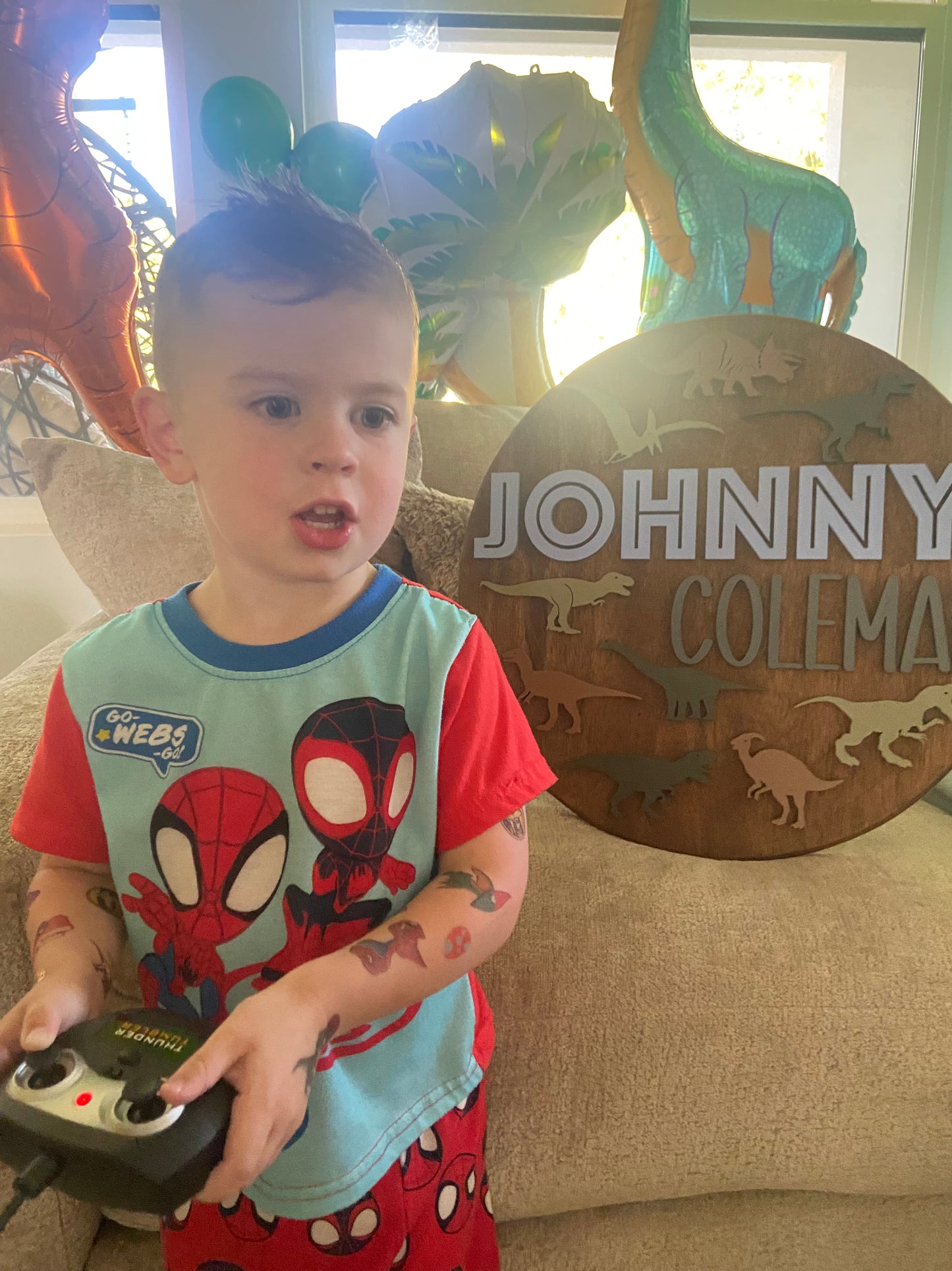18” Dinosaur Nursery Sign
